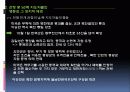 한국전쟁  20페이지