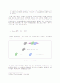 성격결정이론 10페이지