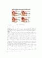 육아휴직의 개념과 정책사안 2페이지