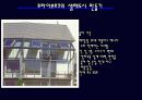 친환경 도시 프라이부르크 11페이지