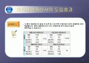 세금계산서의 혁명 - ERP시스템 전자세금계산서 분석 11페이지