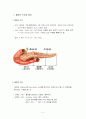 췌장암(pancreatic ca) 2페이지