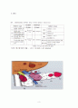 췌장암(pancreatic ca) 8페이지