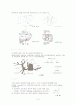 간세포암(HCC, hepatocellular carcinoma) 3페이지