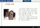 안락사의 개념과 안락사 논란 11페이지
