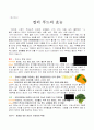 3학년-실과-우리의식사-색깔있는채소(재구성) 5페이지