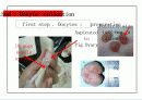 포유동물(돼지)의 체외수정 실험 6페이지