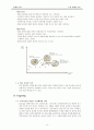 17茶(17차) 4P,SWOT,STP 마케팅전략 11페이지