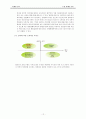 17茶(17차) 4P,SWOT,STP 마케팅전략 13페이지