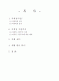 마케팅적 비평 2페이지