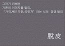  Smart Car 신규 브랜드 런칭을 위한 Brand Communication Strategy 25페이지