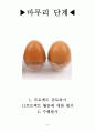 프로젝트접근법 수업 활동의 예시 및 수업계획안 46페이지