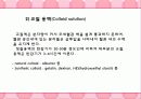 수액요법의 목적과 종류 28페이지