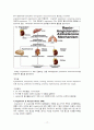 고혈압_발표자료[1] 17페이지