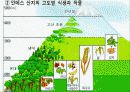 중학교 사회PPT(라틴아메리카) 9페이지
