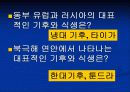 동부 유럽과 러시아(중1사회 ppt) 6페이지