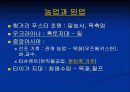 동부 유럽과 러시아(중1사회 ppt) 14페이지