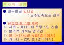 앵글로 아메리카(중1 사회 ppt) 15페이지