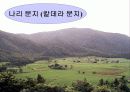 우리나라 가옥구조(중학교 사회ppt) 13페이지