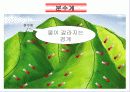 국토의 자연환경(산지지형)PPT 19페이지