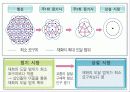도시 체계와 내부 구조PPT 9페이지