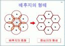 도시 체계와 내부 구조PPT 12페이지