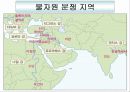 지역차와 지역갈등PPT 12페이지