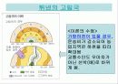 튀넨의 농업입지 및 베버의 공업입지PPT 5페이지