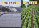 튀넨의 농업입지 및 베버의 공업입지PPT 9페이지