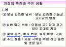 국토의 자연 환경 기후(계절변화)PPT 2페이지