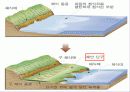 국토의 자연 환경(해안지형)PPT 21페이지