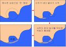 국토의 자연 환경(해안지형)PPT 29페이지
