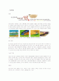 지역문화콘텐츠탐사-마산 2페이지