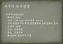 한국의_규석광상 10페이지