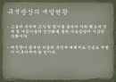 한국의_규석광상 19페이지