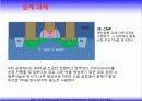 집적회로공정 설계 45페이지