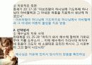 성경에 나타난 환자와 치유자의 관계분석 14페이지