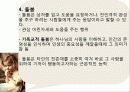 성경에 나타난 환자와 치유자의 관계분석 28페이지