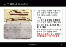 태고사회 스포츠 9페이지