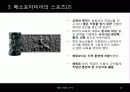 태고사회 스포츠 11페이지