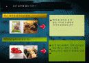 [의약학] 흡연과 건강관리 18페이지