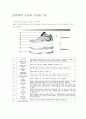 about__footwear 5페이지