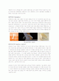 about__footwear 9페이지