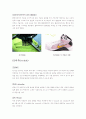 about__footwear 16페이지