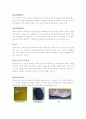 about__footwear 18페이지