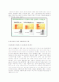 세종시 문제에 관한조사 16페이지