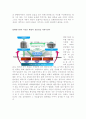 세종시 문제에 관한조사 18페이지