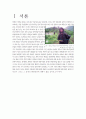 북한의 식량난과 대북지원(최종리포트) 1페이지