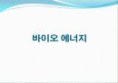 수력,조력,바이오에너지 30페이지