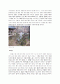 조선시대 정원 소쇄원(瀟灑園) 16페이지